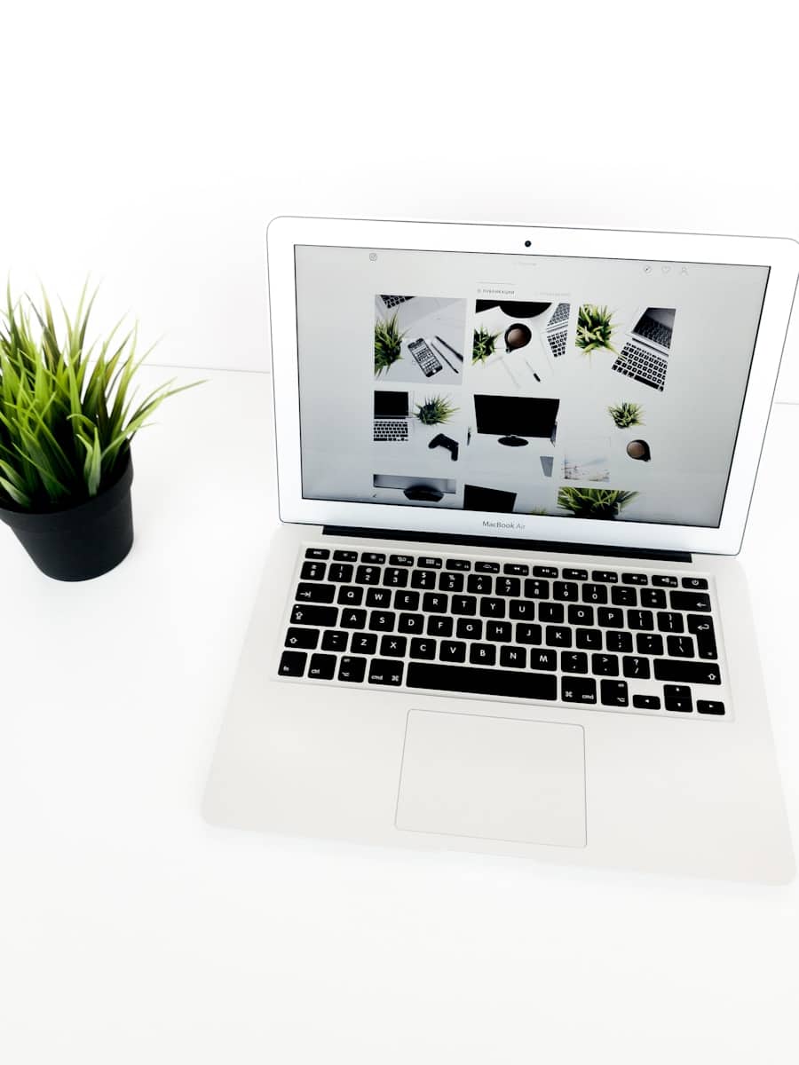 A laptop displaying multiple images on a white desk with a small green plant beside it.